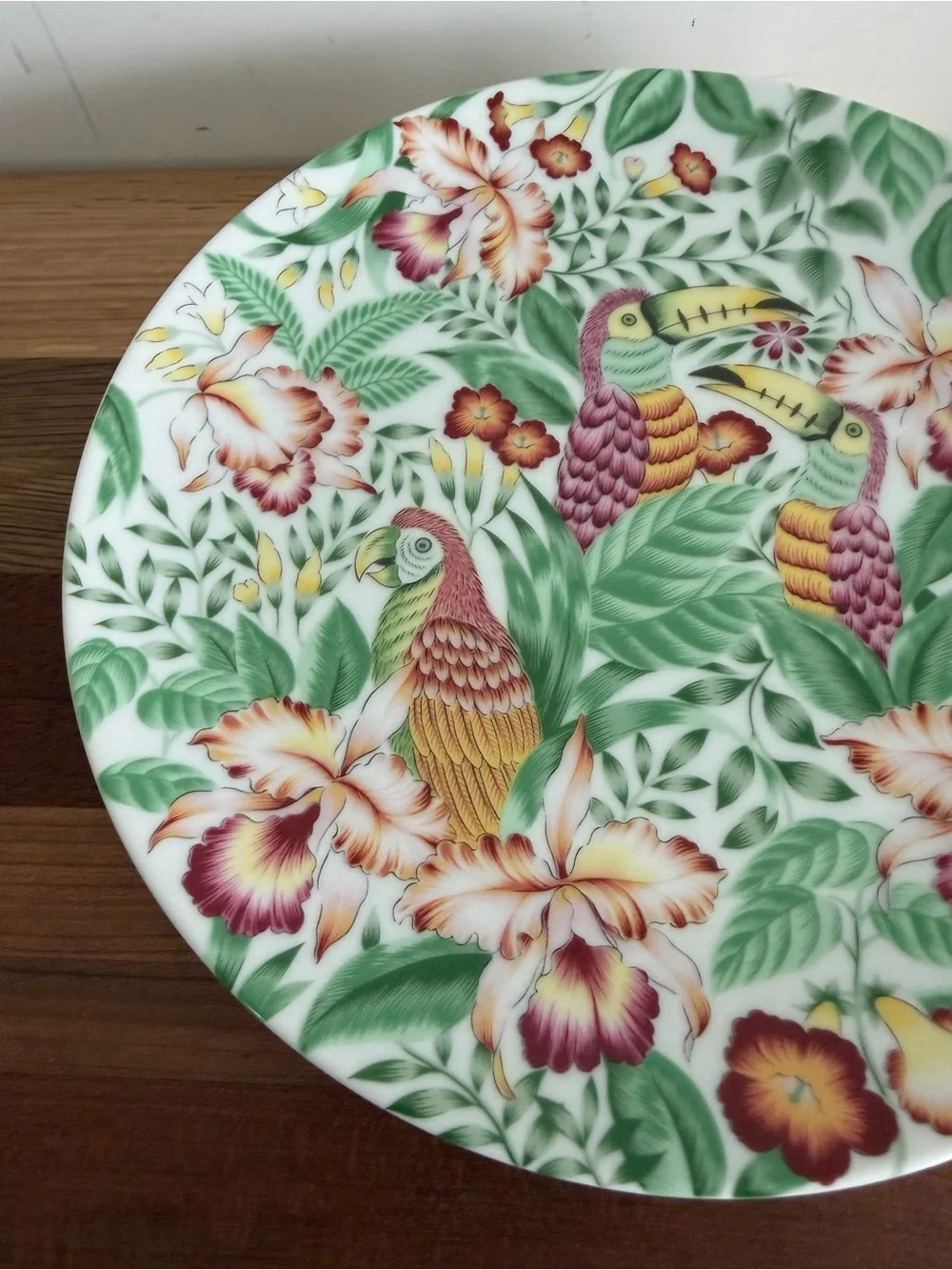Andrea by Sadek Tropical Motif Plates Parrots Toucans 7.5” Set of 4